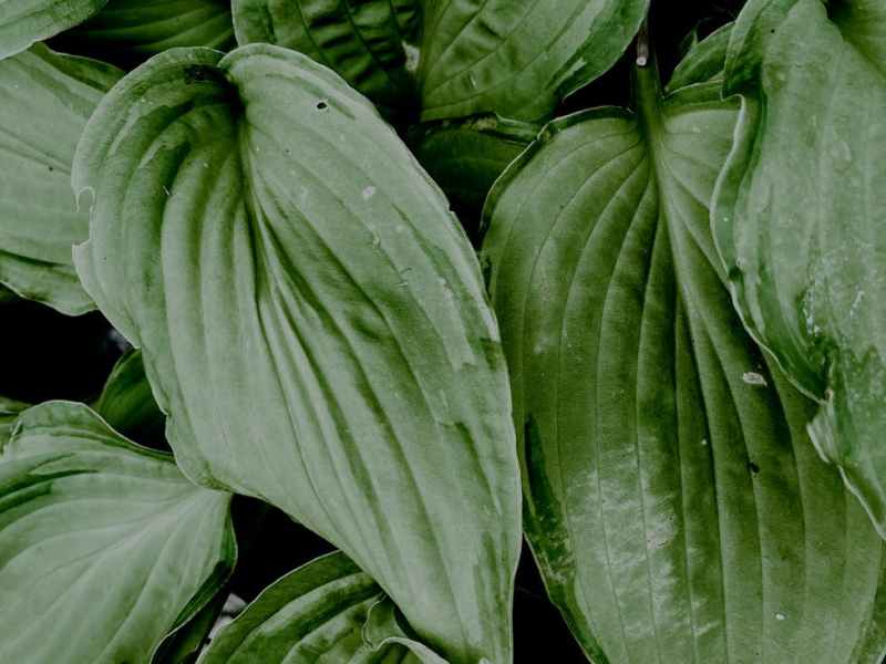 this Is My First&nbsp;Post